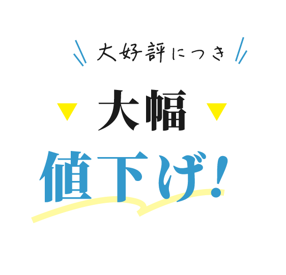 大好評につき大幅値下げ